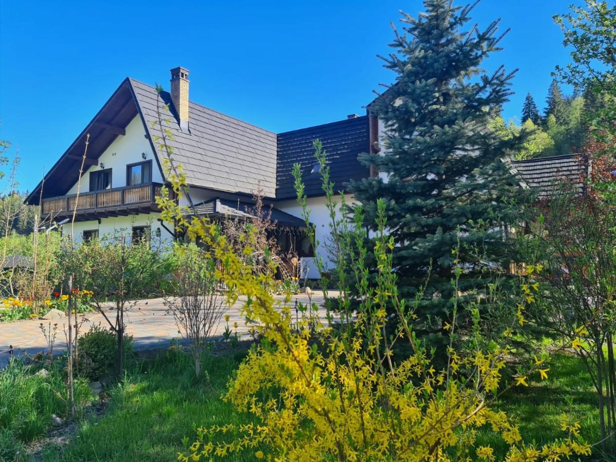 Casa Baciu Hotel Fundu Moldovei Bagian luar foto
