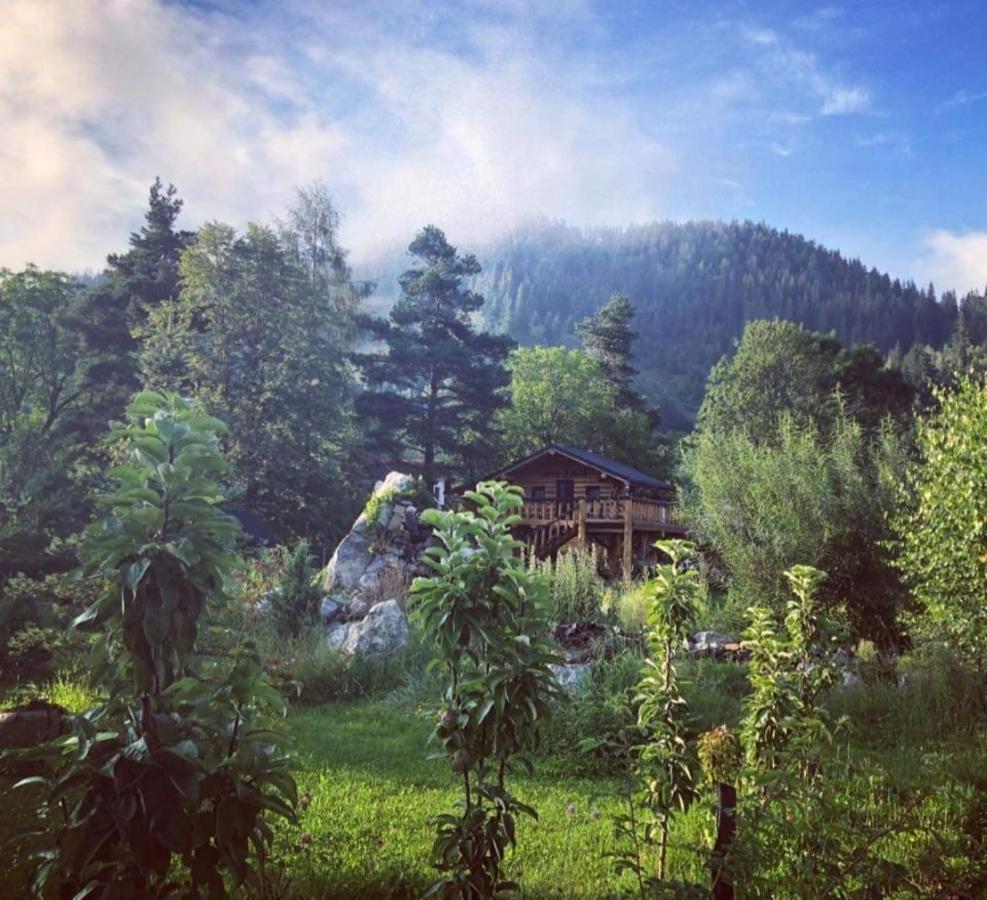 Casa Baciu Hotel Fundu Moldovei Bagian luar foto