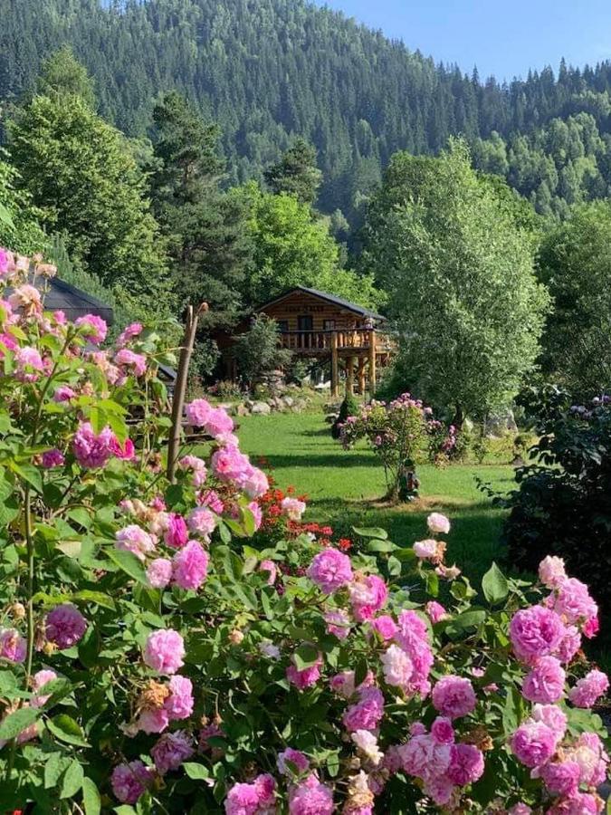 Casa Baciu Hotel Fundu Moldovei Bagian luar foto