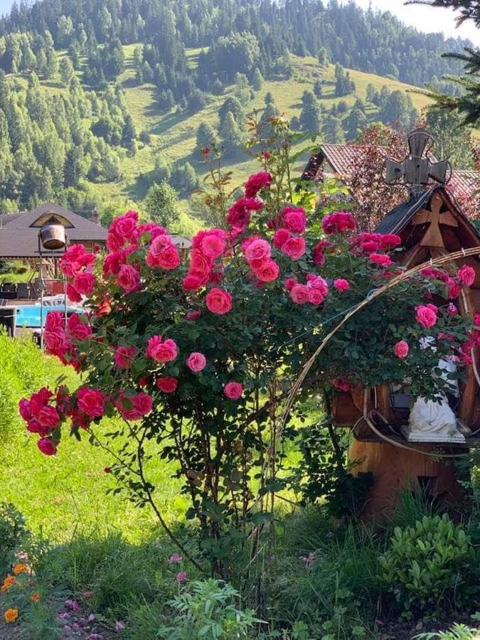 Casa Baciu Hotel Fundu Moldovei Bagian luar foto